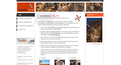 Desktop Screenshot of cashmereiron.com